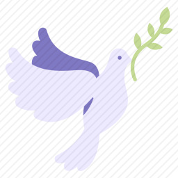 鸽子