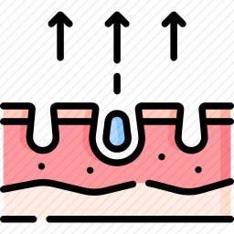 <em>毛孔</em>