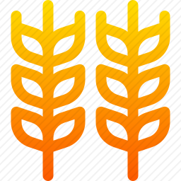 <em>小麦</em>