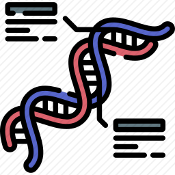 DNA