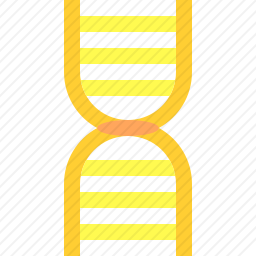 DNA
