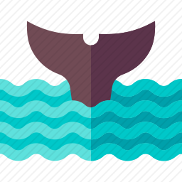 <em>鲸鱼</em>