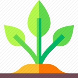 植物