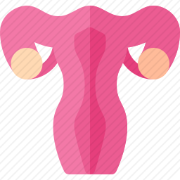 子宫