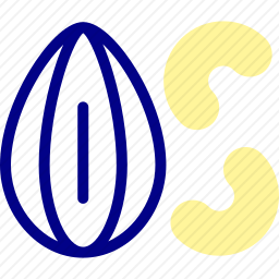 坚果