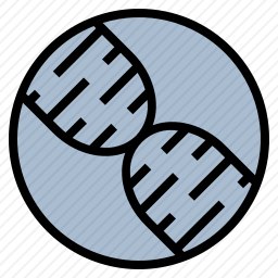 DNA