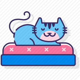 <em>宠物猫</em>