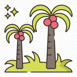 <em>棕榈树</em>