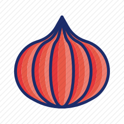 <em>洋葱</em>