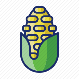 <em>玉米</em>