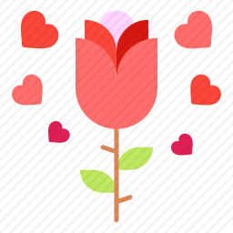 <em>玫瑰</em>
