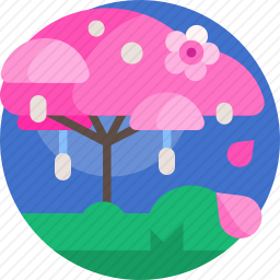 樱花
