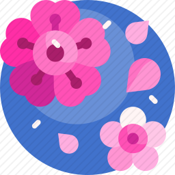 樱花