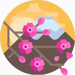 樱花