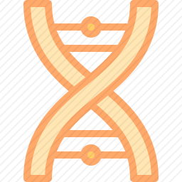 DNA