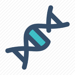 DNA