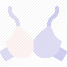 <em>胸罩</em>