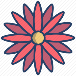 花朵