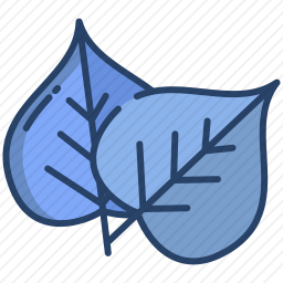 <em>叶子</em>