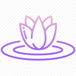 莲花