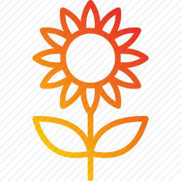 <em>向日葵</em>