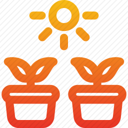 盆栽