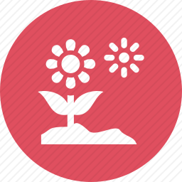 花