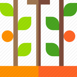 种植园