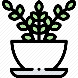 植物