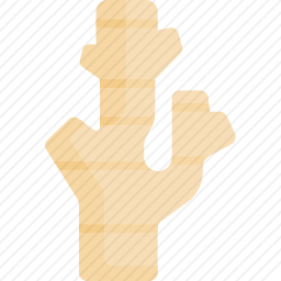 生姜