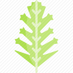蔬菜