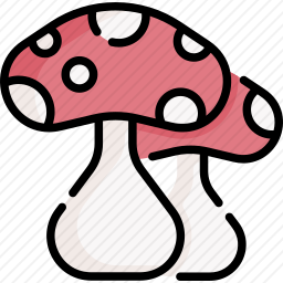 <em>蘑菇</em>