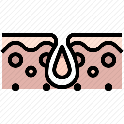 毛孔