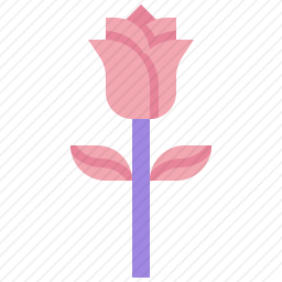 玫瑰