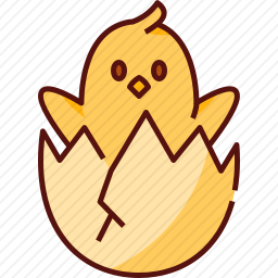 小鸡