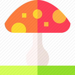 <em>蘑菇</em>