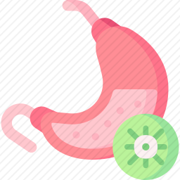 <em>胃癌</em>
