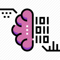 <em>大脑</em>代码