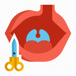 <em>嘴唇</em>