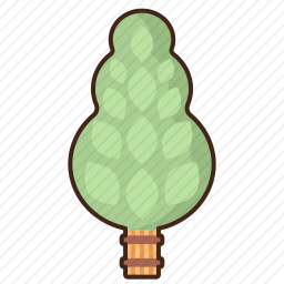 植物