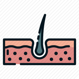 <em>皮肤病</em>