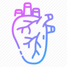 心脏