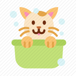 洗澡的猫咪