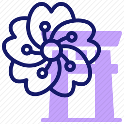 樱花