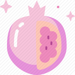 <em>石榴</em>