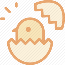 小鸡