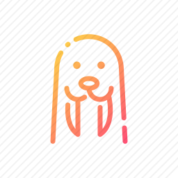 海狮