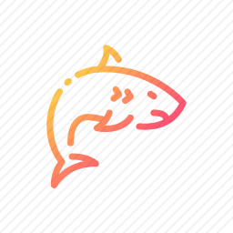 鲨鱼