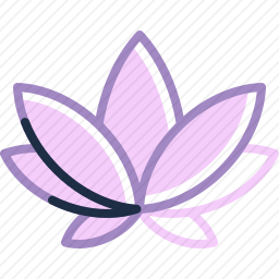 莲花