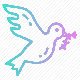 鸽子